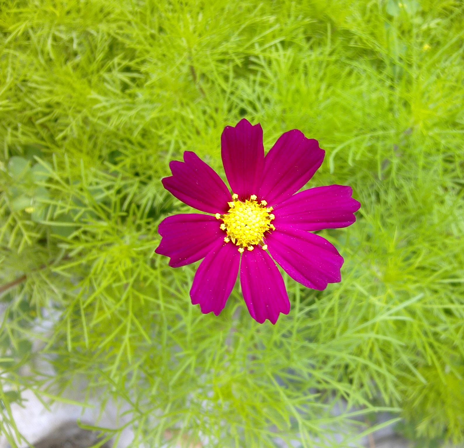 20110612470
